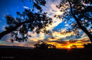 Encinitas October sunrise-9675